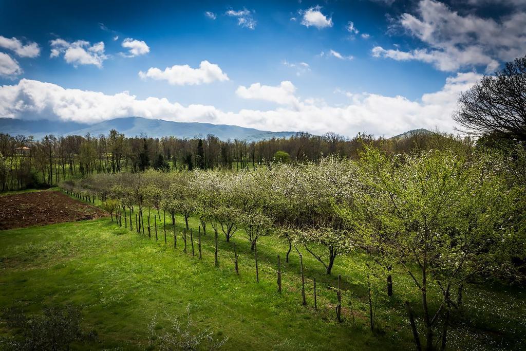 La Dolce Mela Villa Buonabitacolo Eksteriør billede